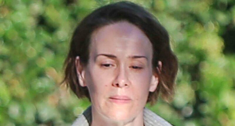 Diane Keaton's friend Sarah Paulson looks somber after star's death