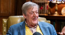 Did Stephen Fry turn on J.K. Rowling over Dumbledore role in HBO show?