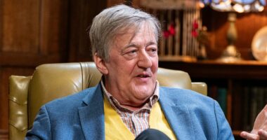 Did Stephen Fry turn on J.K. Rowling over Dumbledore role in HBO show?