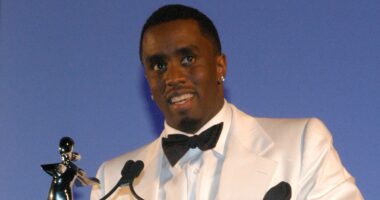 Diddy should walk free because he was top fashion designer, court told