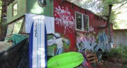 'Dirty hippies' lose 25-year battle to save 'biohazard' homes
