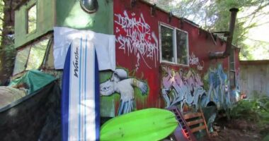 'Dirty hippies' lose 25-year battle to save 'biohazard' homes