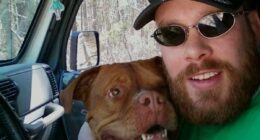Disabled vet swindled by George Santos blasts Trump for commutation