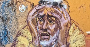 Distraught Diddy doubles iconic 'The Scream' painting in court sketch
