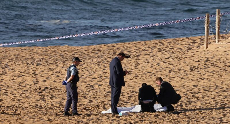 Disturbing twist after young woman is found dead at Mona Vale beach