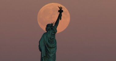 Does the full moon make us sleepless? A neurologist explains the science