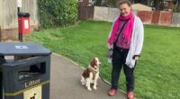 Dog owner fined for not having mess bag - despite her dog not fouling