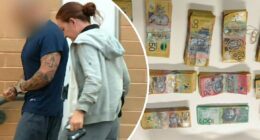 Dozens charged during 'unprecedented' AN0M app police sting