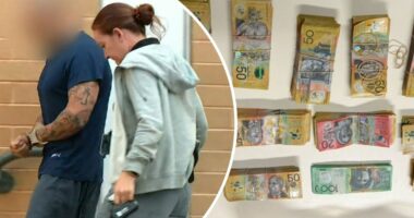 Dozens charged during 'unprecedented' AN0M app police sting