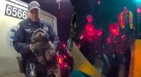 Dramatic video shows NYPD officers rescuing a missing dog named Moose from beneath a Manhattan subway train