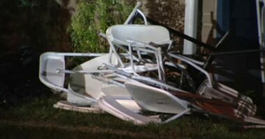 Driver plows into child's birthday party in Maryland killing woman, injuring 13 others