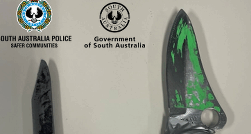 Drugs, weapons seized in Adelaide pubs crackdown