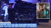 Drunk driver who plowed into mom, daughter hears fate