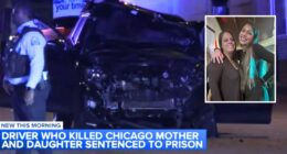 Drunk driver who plowed into mom, daughter hears fate