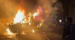 Dublin protesters clash with police, burn vehicle after migrant accused of sexually assaulting Irish girl