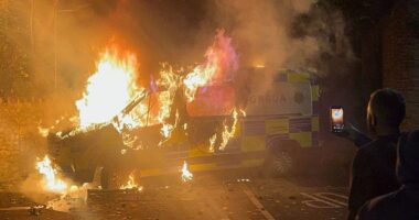 Dublin protesters clash with police, burn vehicle after migrant accused of sexually assaulting Irish girl