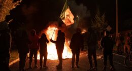 Dublin's migrant riots are Epping on steroids: ROBERT HARDMAN