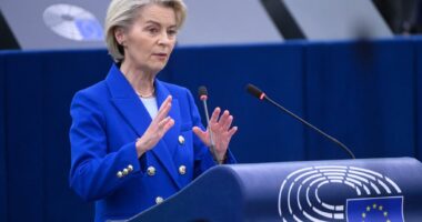 EU chief says Russia is waging a ‘gray zone campaign’ and Europe must meet the challenge