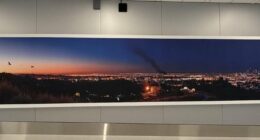 Eagle-eyed airport visitors spot 'ridiculous' feature in picture of LA