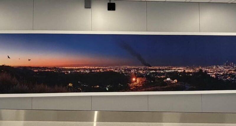 Eagle-eyed airport visitors spot 'ridiculous' feature in picture of LA