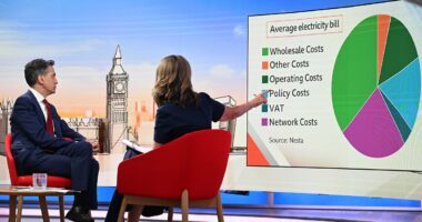 Ed Miliband denies Net Zero policies are keeping energy costs high