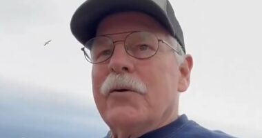 Elderly man with stick faces federal probe over Trump threat at rally