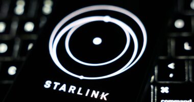 Elon Musk comes to the rescue for Brits in mobile 'not-spots': O2 partners with Starlink to provide coverage to rural areas