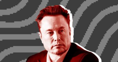 Elon Musk is leading a pressure campaign to make Netflix un-woke