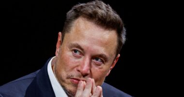 Elon Musk says 'enough is enough' as tearful woman reveals she is terrified to leave home after fatal stabbing of dog walker 'by Afghan who was granted asylum'