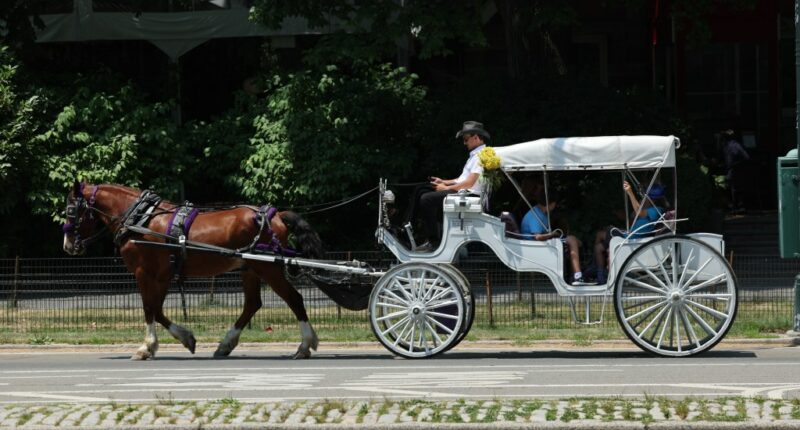 End the horse-drawn carriage industry