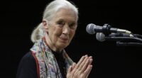 Environmentalists, politicians, celebrities recall life and influence of primatologist Jane Goodall