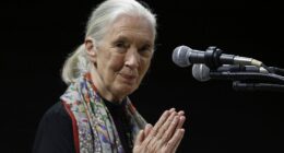 Environmentalists, politicians, celebrities recall life and influence of primatologist Jane Goodall