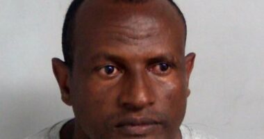Epping sex attack migrant arrested in Finsbury Park after three days