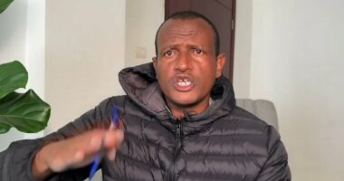 Epping sex attack migrant claims he tried to hand himself in to police