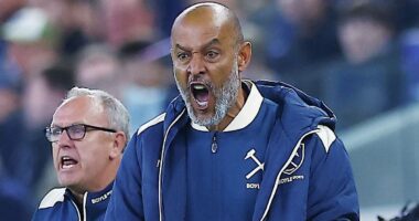Everton 1-1 West Ham VERDICT: How Nuno Espirito Santo stopped the rot, a fundamental flaw he must address soon - and the Toffees star who will be sweating over his starting spot