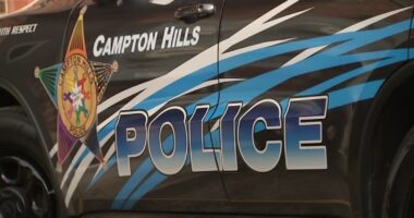 Ex-Campton Hills police chief, 2 ex-officers, 1 current cop accused of illegally selling guns from evidence room: Kane County SA