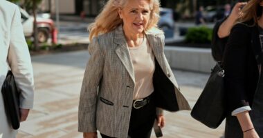 Ex-Tennessee Rep. Robin Smith sentenced to 8 months in prison in corruption case plea deal
