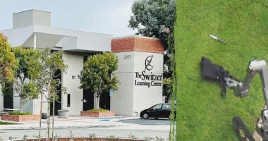 Ex-student stabs 3 staff members at private California school before making bomb threat: police