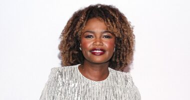 Exasperated Karine Jean-Pierre rips Jake Tapper's Biden takedown book - and says she saw 'no such decline'