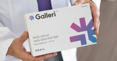 Expert hail 'holy grail' blood test that accurately flags FIFTY types of cancer before symptoms strike: 'We're one step closer to transforming cancer diagnoses'