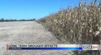 Experts say drought conditions continue in Central IL despite slight rainfall