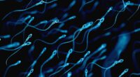 Experts uncover when sperm mutations surge raising kid's disease risk