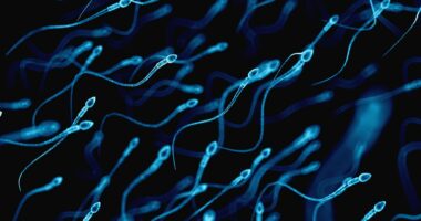 Experts uncover when sperm mutations surge raising kid's disease risk