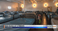 Exterminators treating bedbugs at Strides Shelter in Champaign