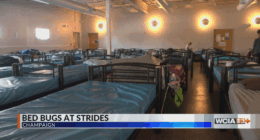 Exterminators treating bedbugs at Strides Shelter in Champaign
