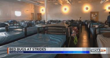 Exterminators treating bedbugs at Strides Shelter in Champaign