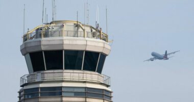 FAA says air traffic controller staffing issues cause delays amid shutdown