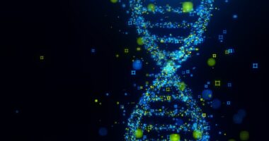 FBI hopes DNA can solve decades-old case of Amy Mihaljevic