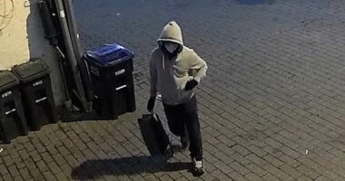 FBI offers mammoth reward for information on pipe bomb suspect