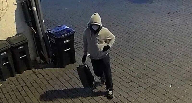 FBI offers mammoth reward for information on pipe bomb suspect